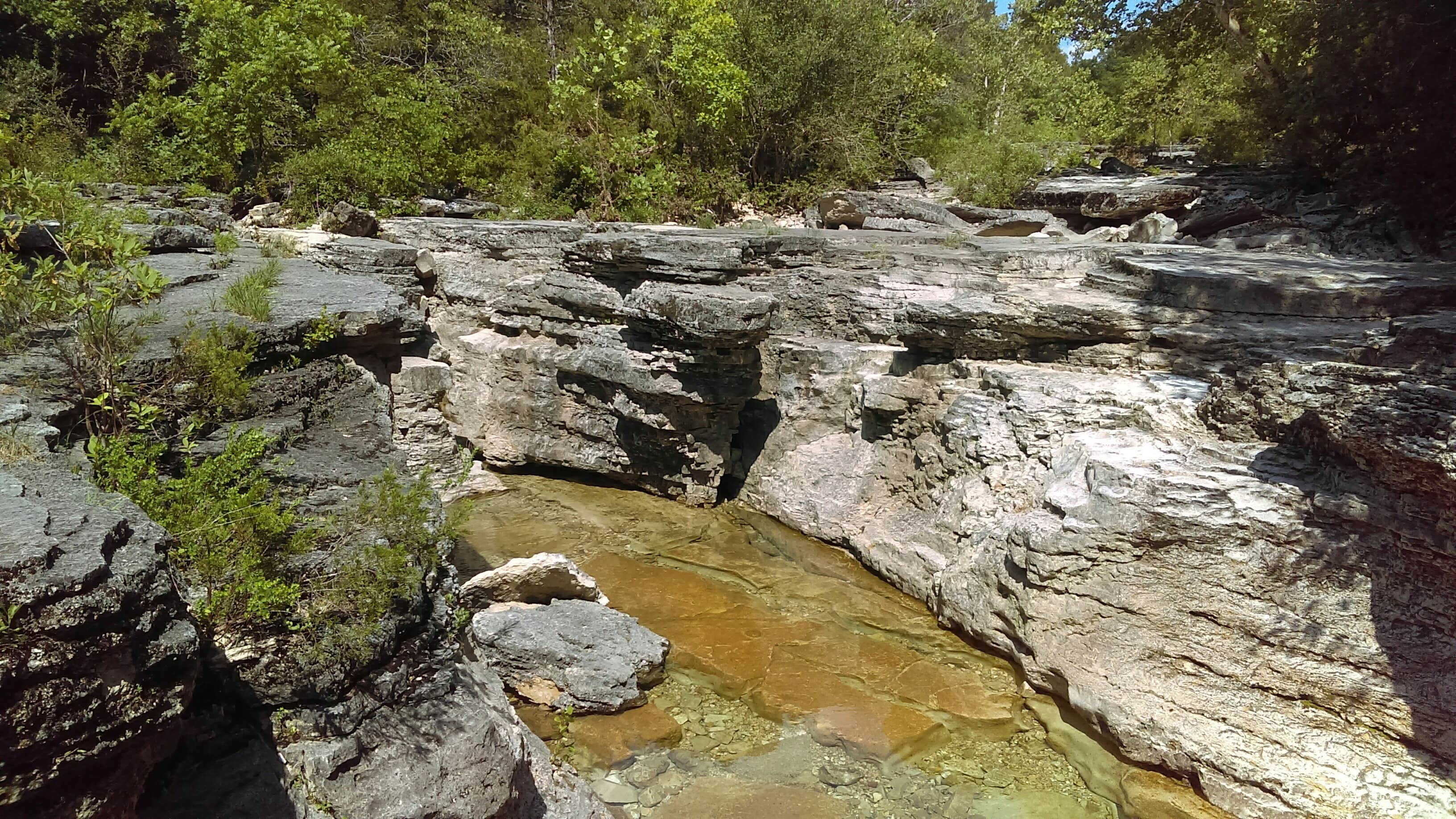 Camper submitted image from Hercules-Glades Wilderness Area - 3
