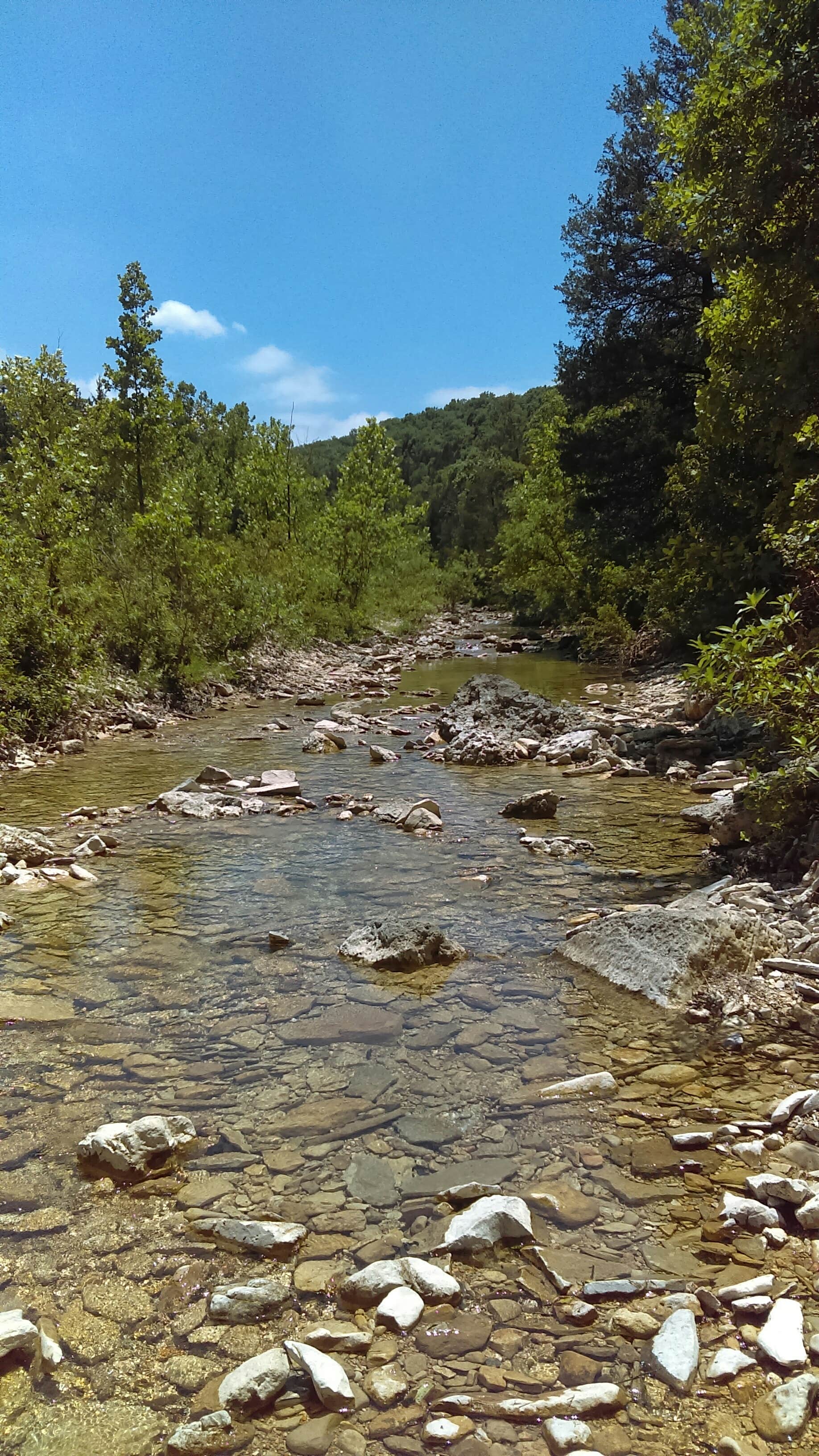 Camper submitted image from Hercules-Glades Wilderness Area - 2