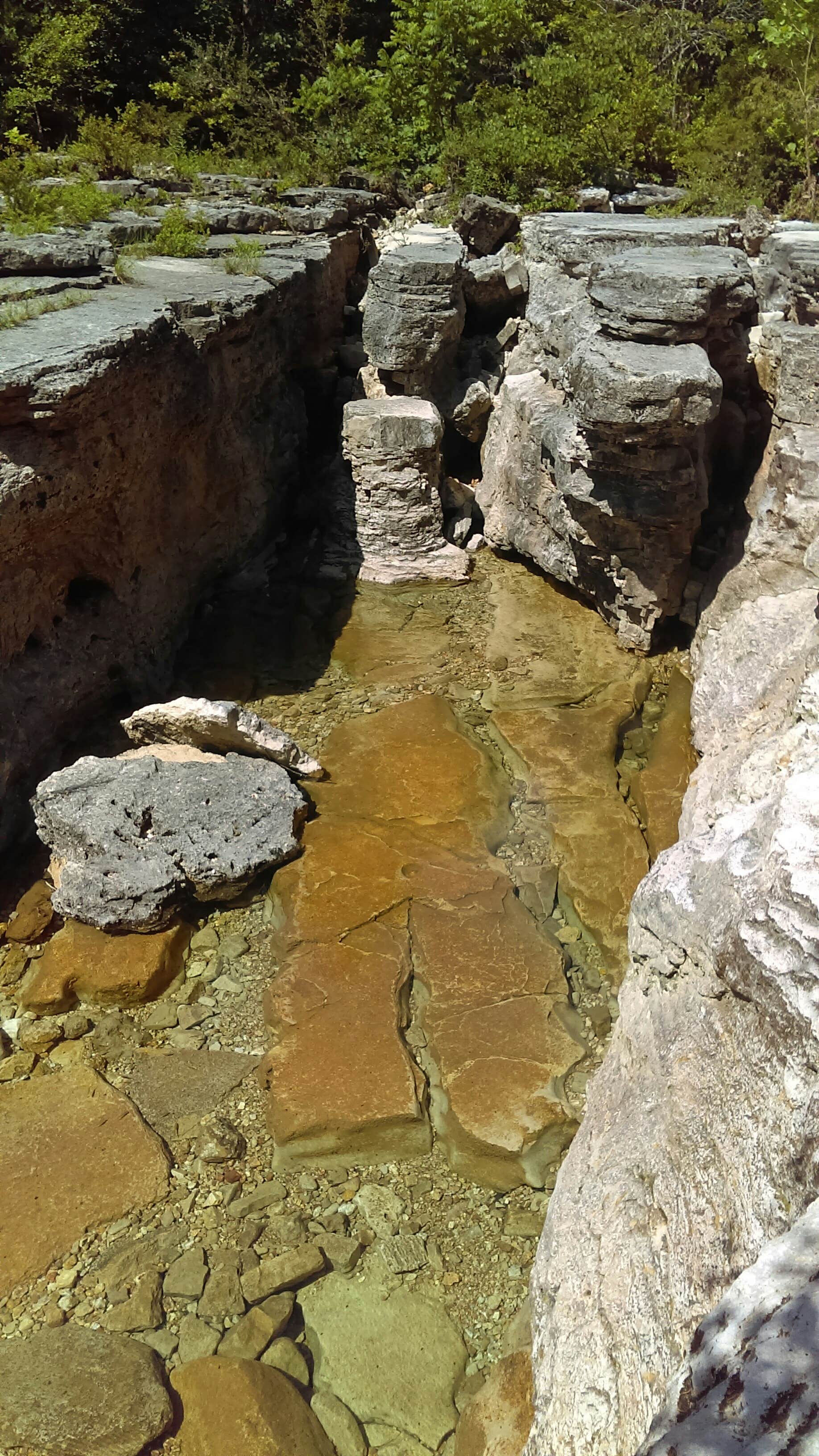 Camper-submitted photo at Hercules-Glades Wilderness Area near Buffalo National River