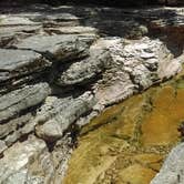 Review photo of Hercules-Glades Wilderness Area by Tyson B., November 29, 2017
