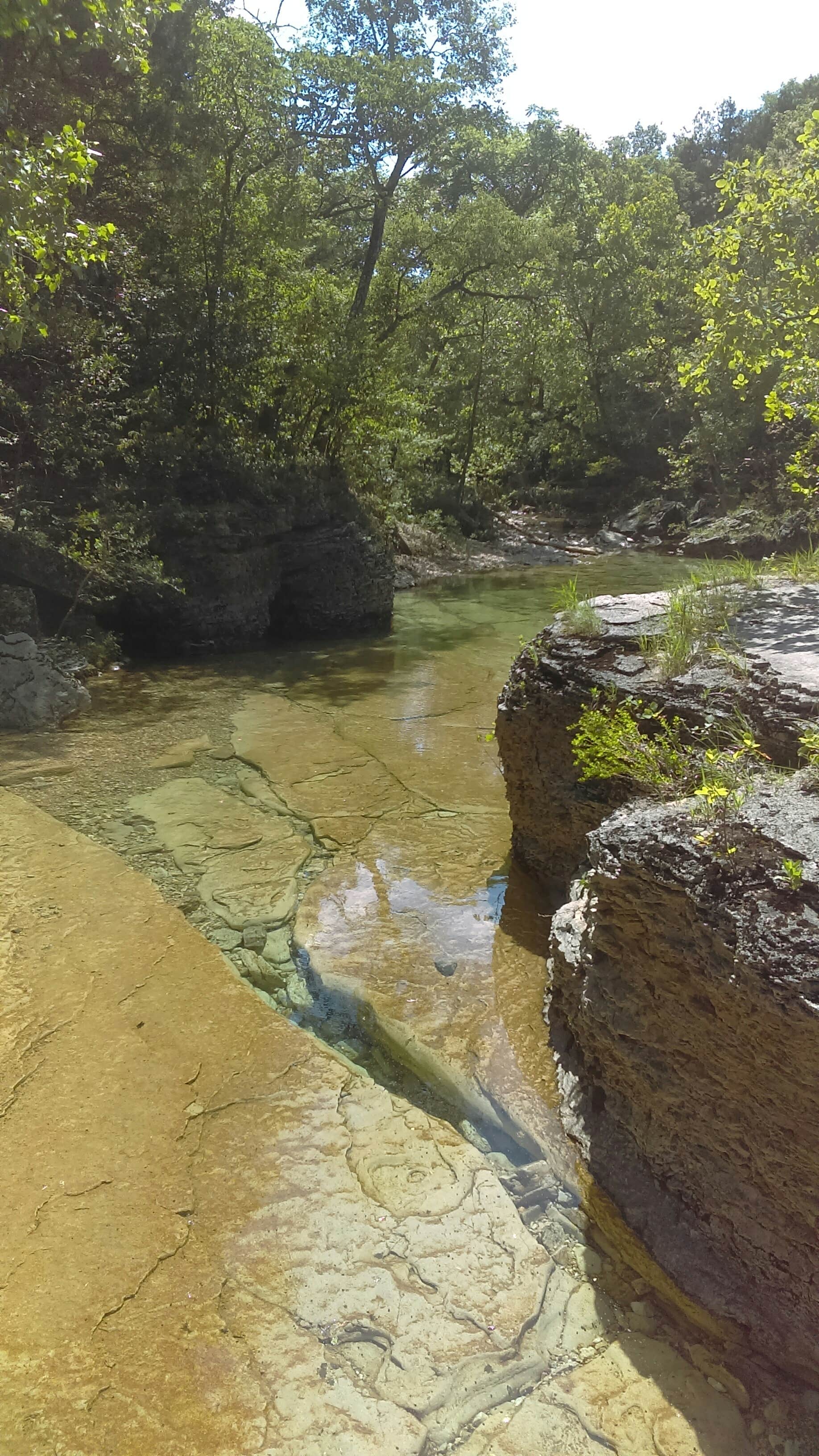 Camper-submitted photo at Hercules-Glades Wilderness Area near Buffalo National River