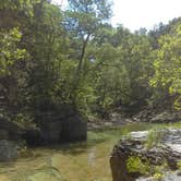Review photo of Hercules-Glades Wilderness Area by Tyson B., November 29, 2017