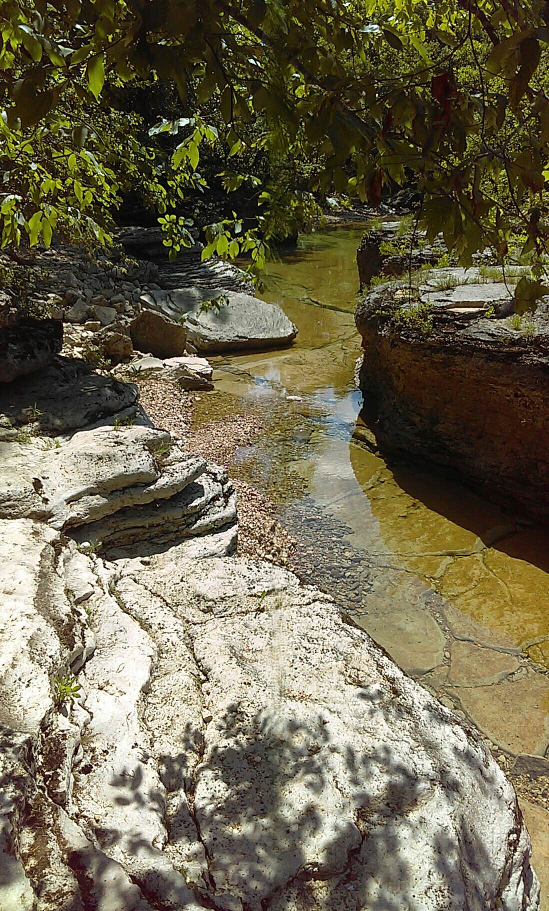 Camper-submitted photo at Hercules-Glades Wilderness Area near Buffalo National River