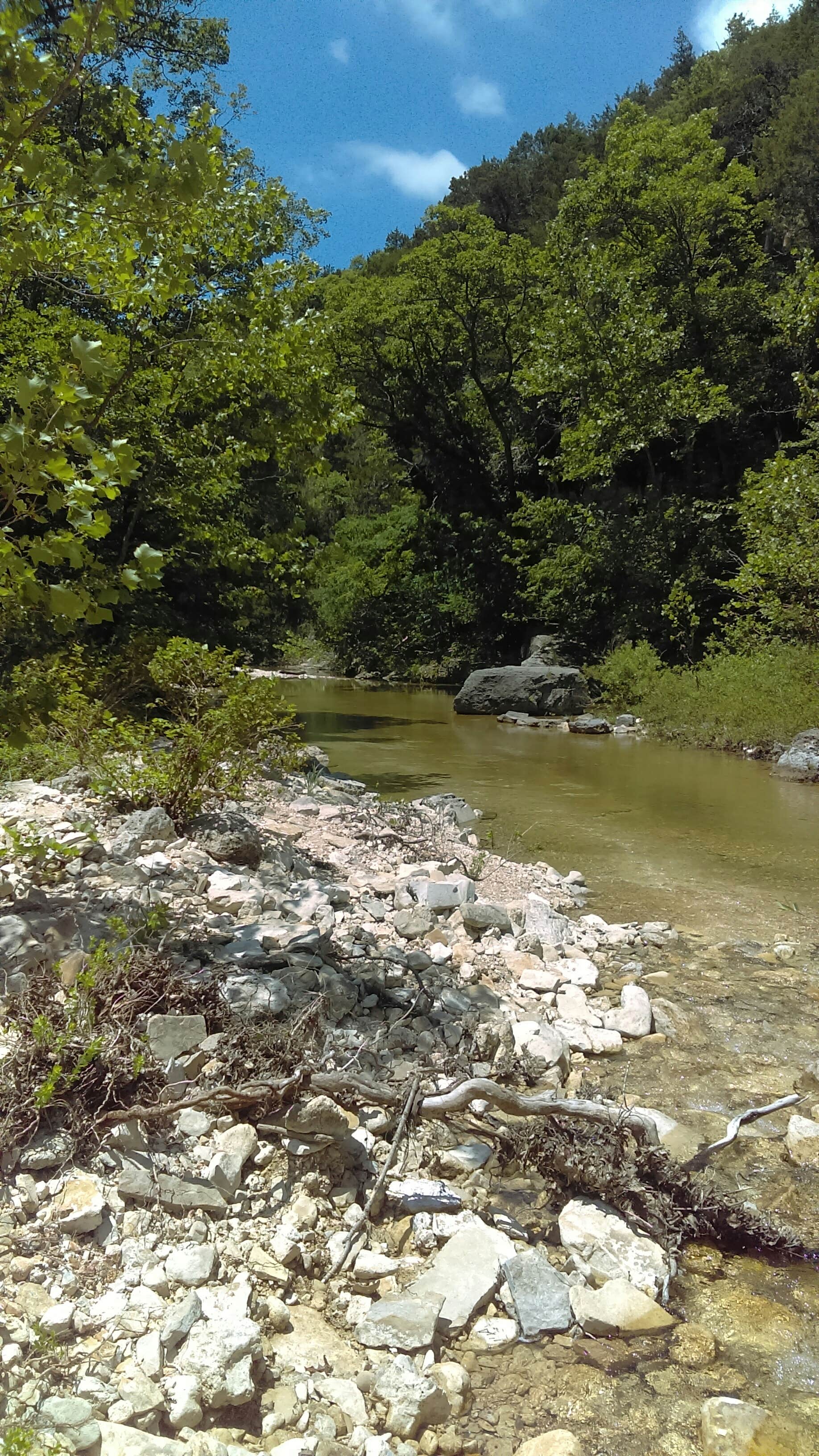 Camper submitted image from Hercules-Glades Wilderness Area - 1