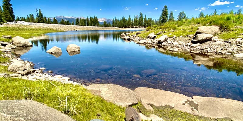 Camper submitted image from Portal Forebay Campground