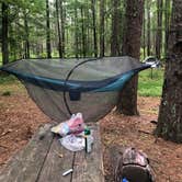 Review photo of Turnipseed Campground by Jeremy M., July 5, 2020