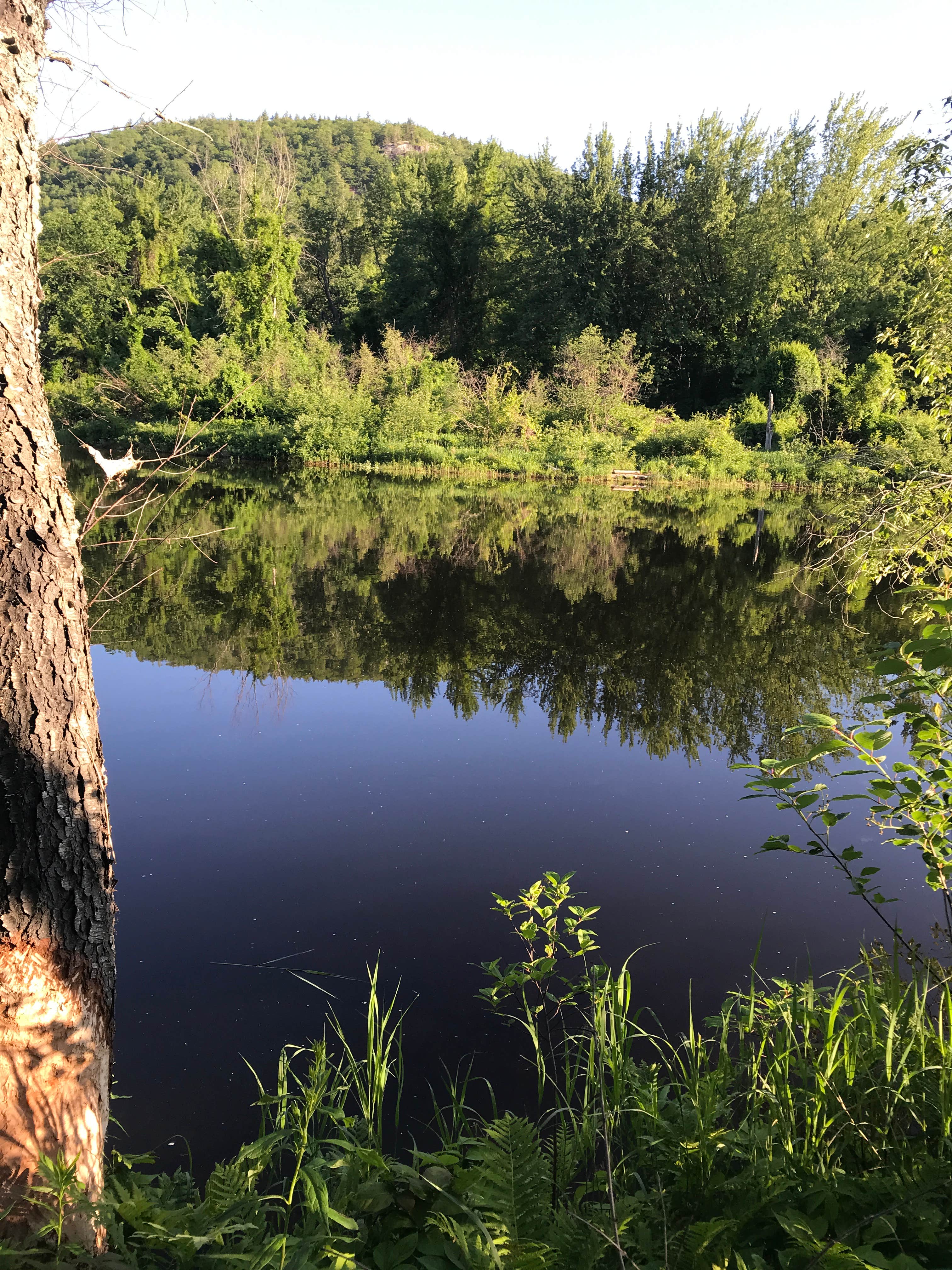 Nature