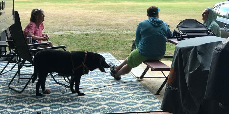 Camper submitted image from White Birches Camping Park