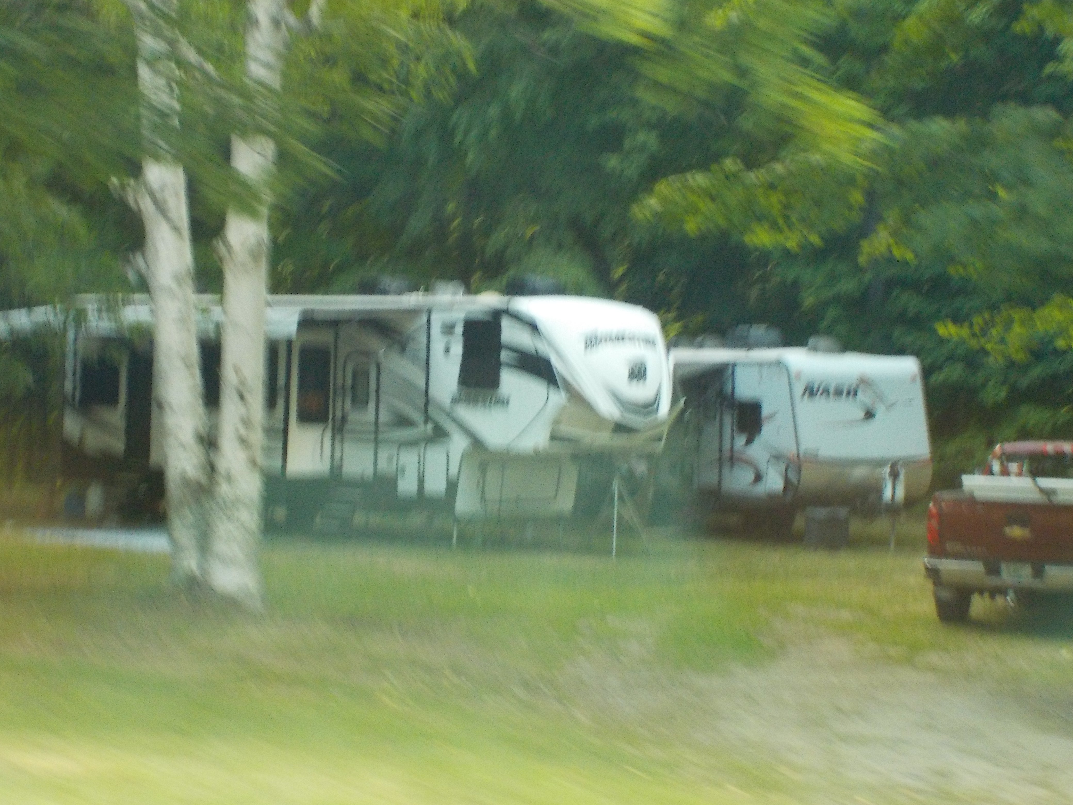 Blurry photo, sorry! Other RV sites among the birch trees