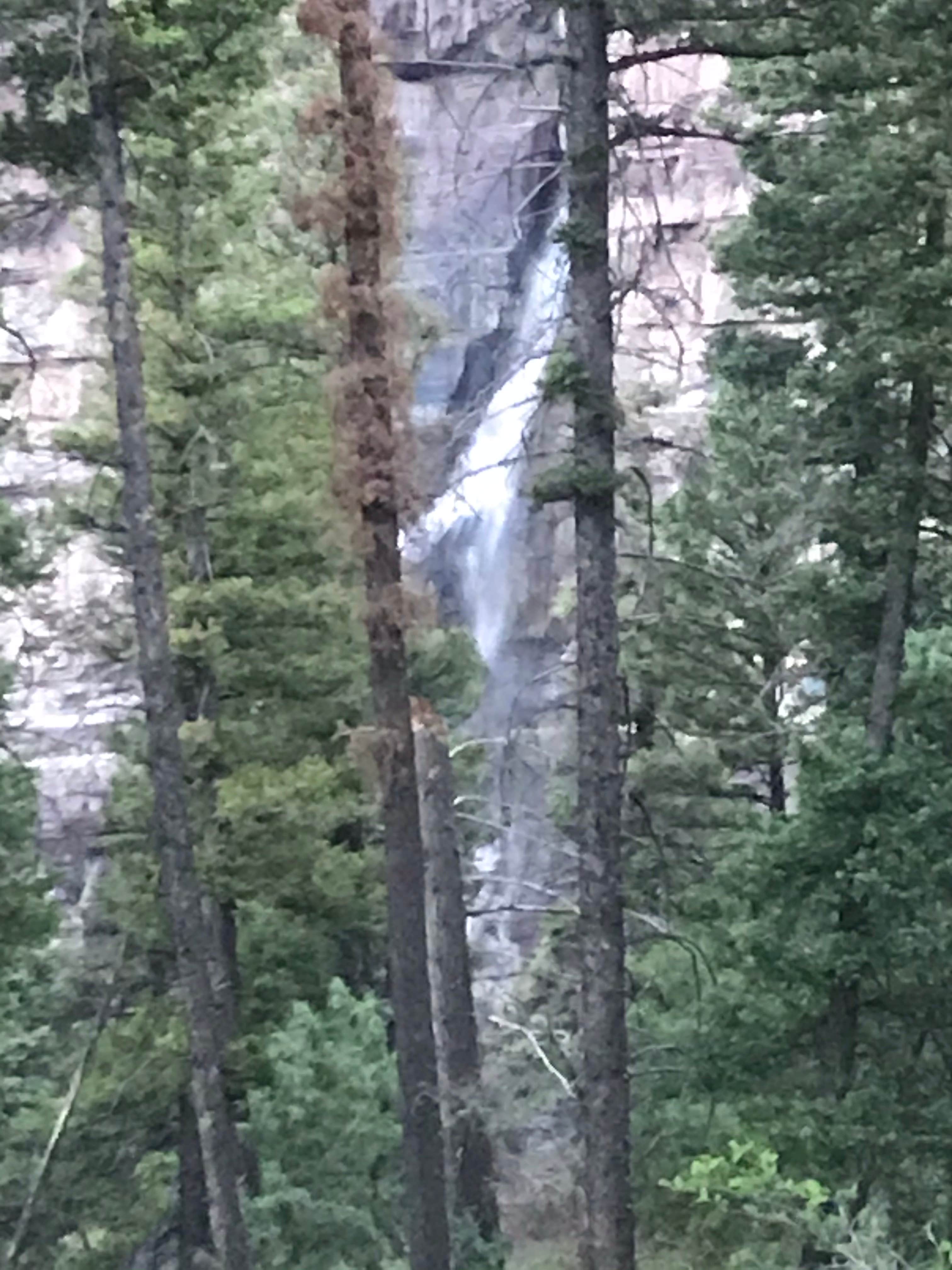 Camper submitted image from Uncompahgre National Forest Amphitheater Campground - 1