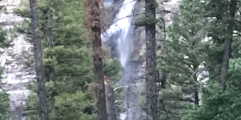 Camper submitted image from Uncompahgre National Forest Amphitheater Campground