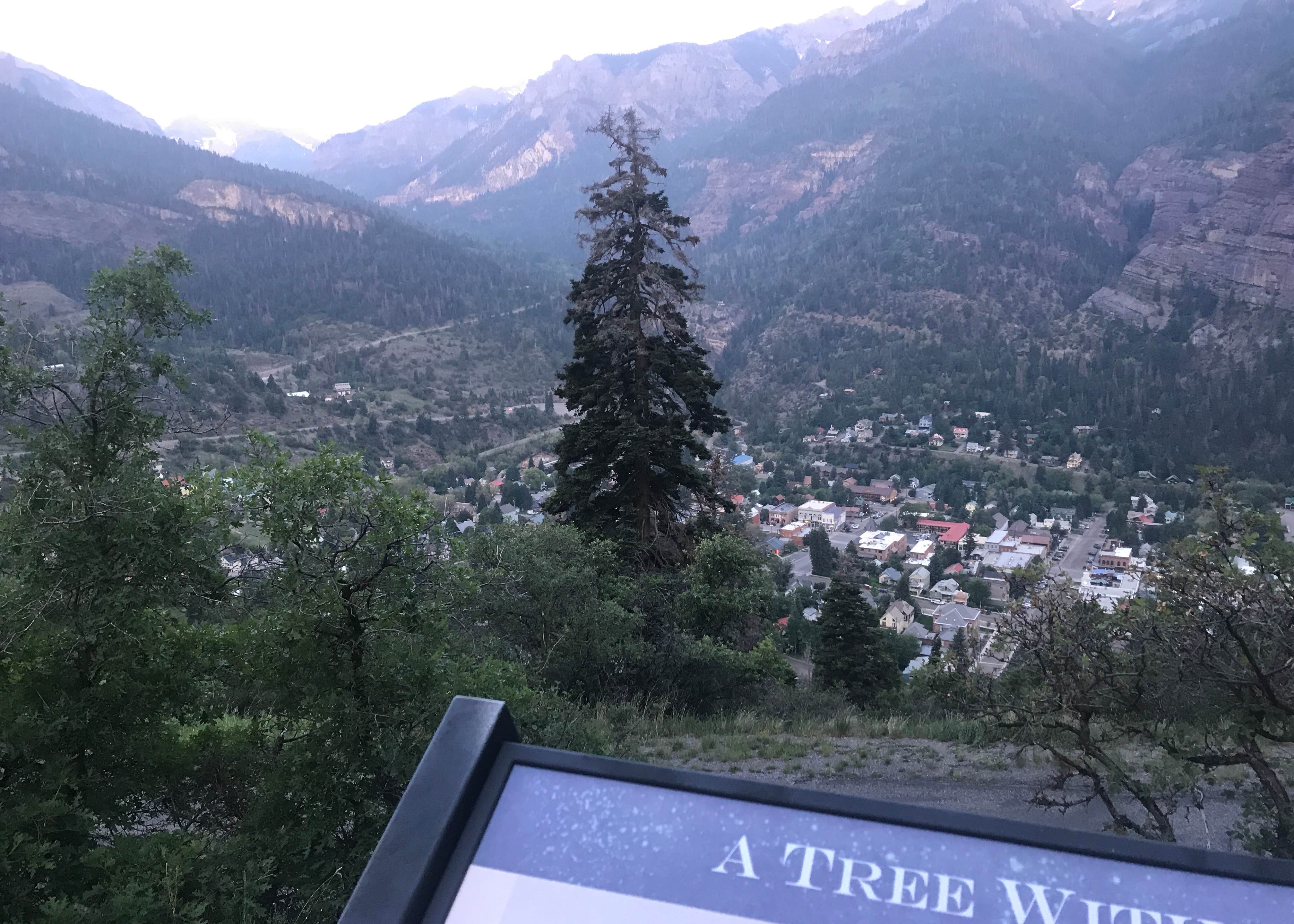 View All