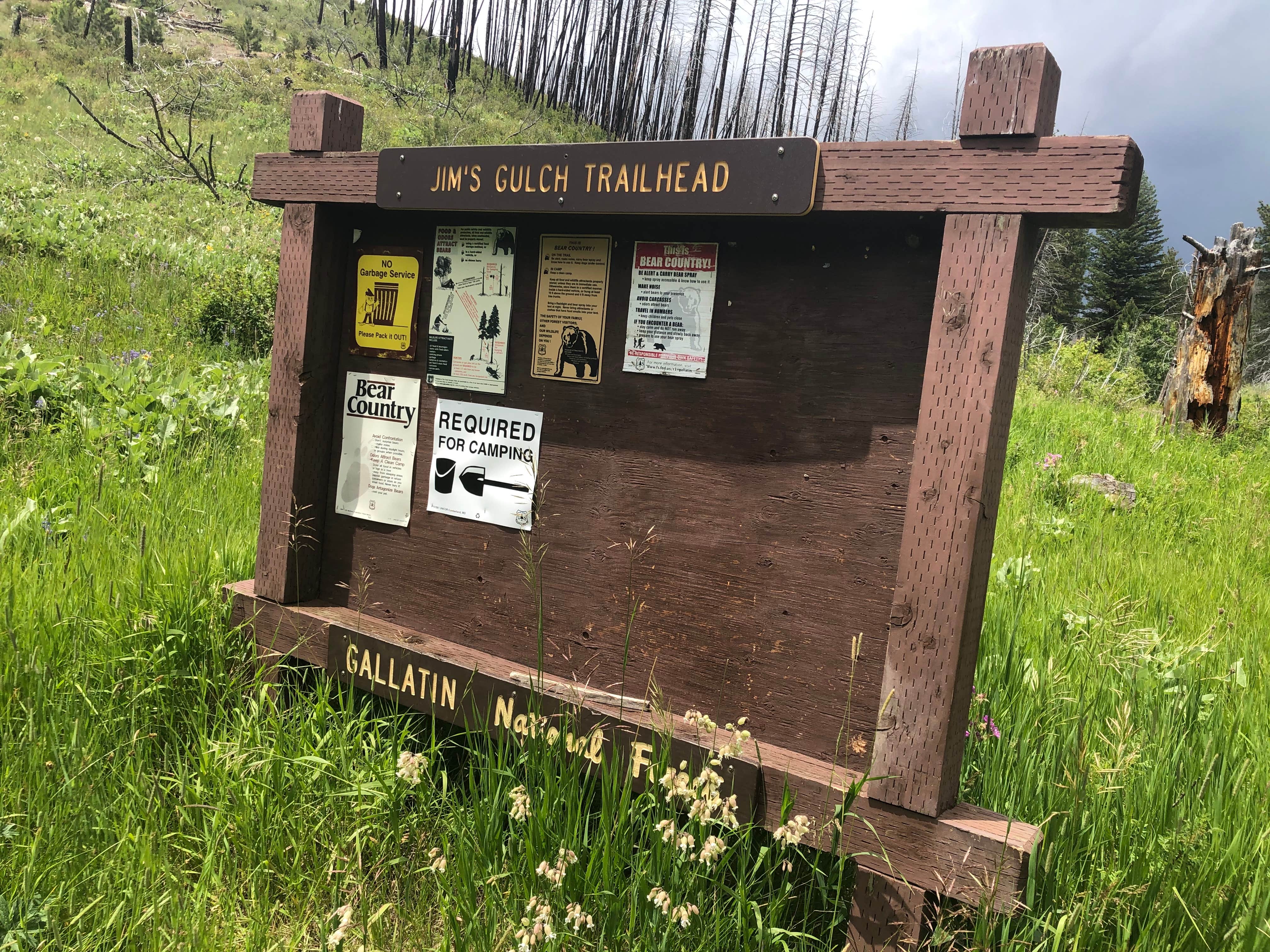 Camper submitted image from Deer Creek Cabin (MT) - 2