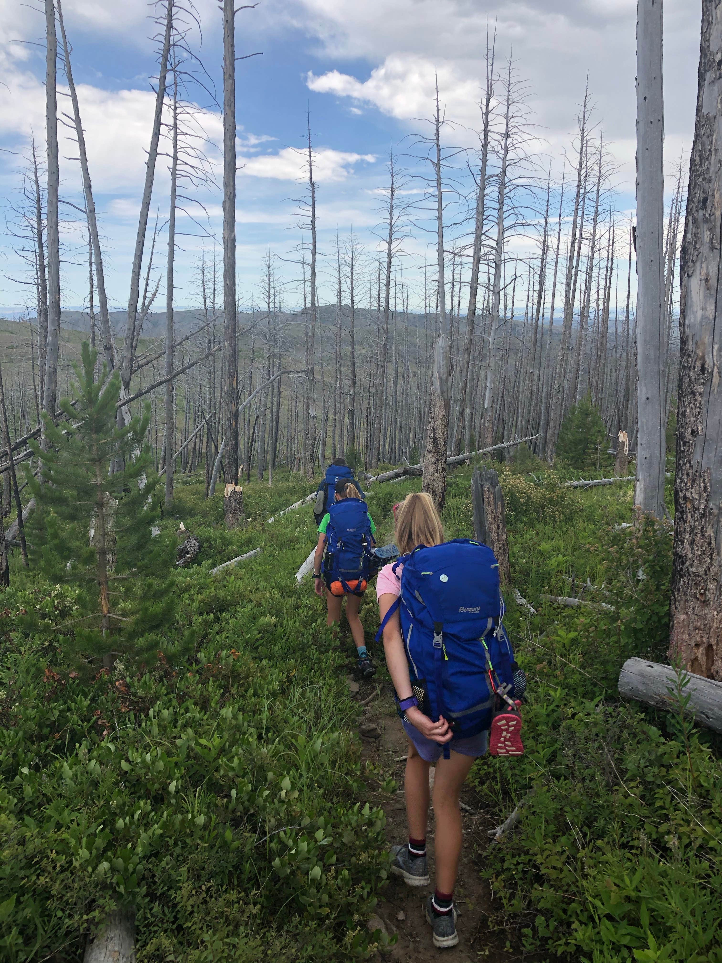 Camper submitted image from Deer Creek Cabin (MT) - 3