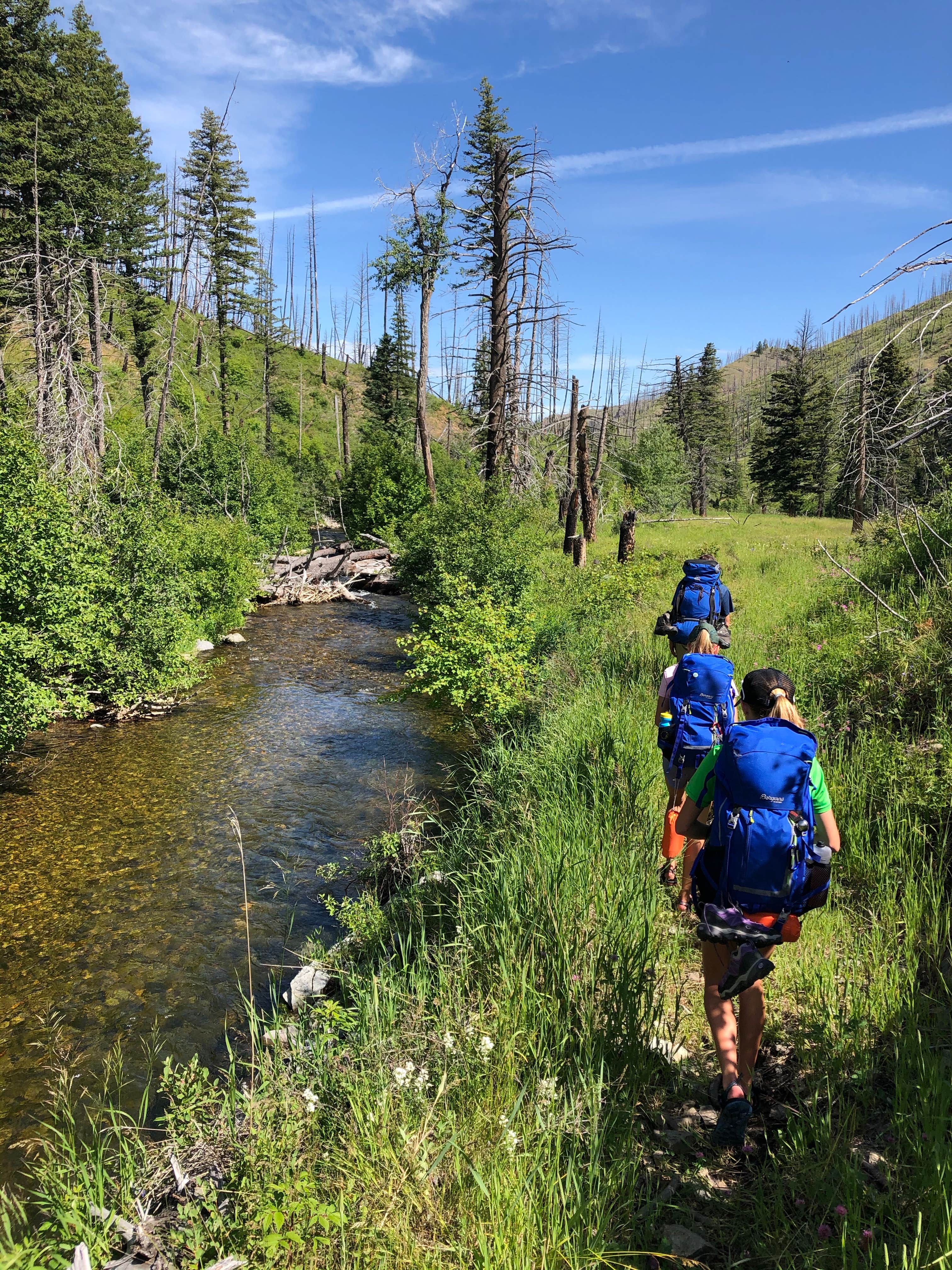 Camper submitted image from Deer Creek Cabin (MT) - 2