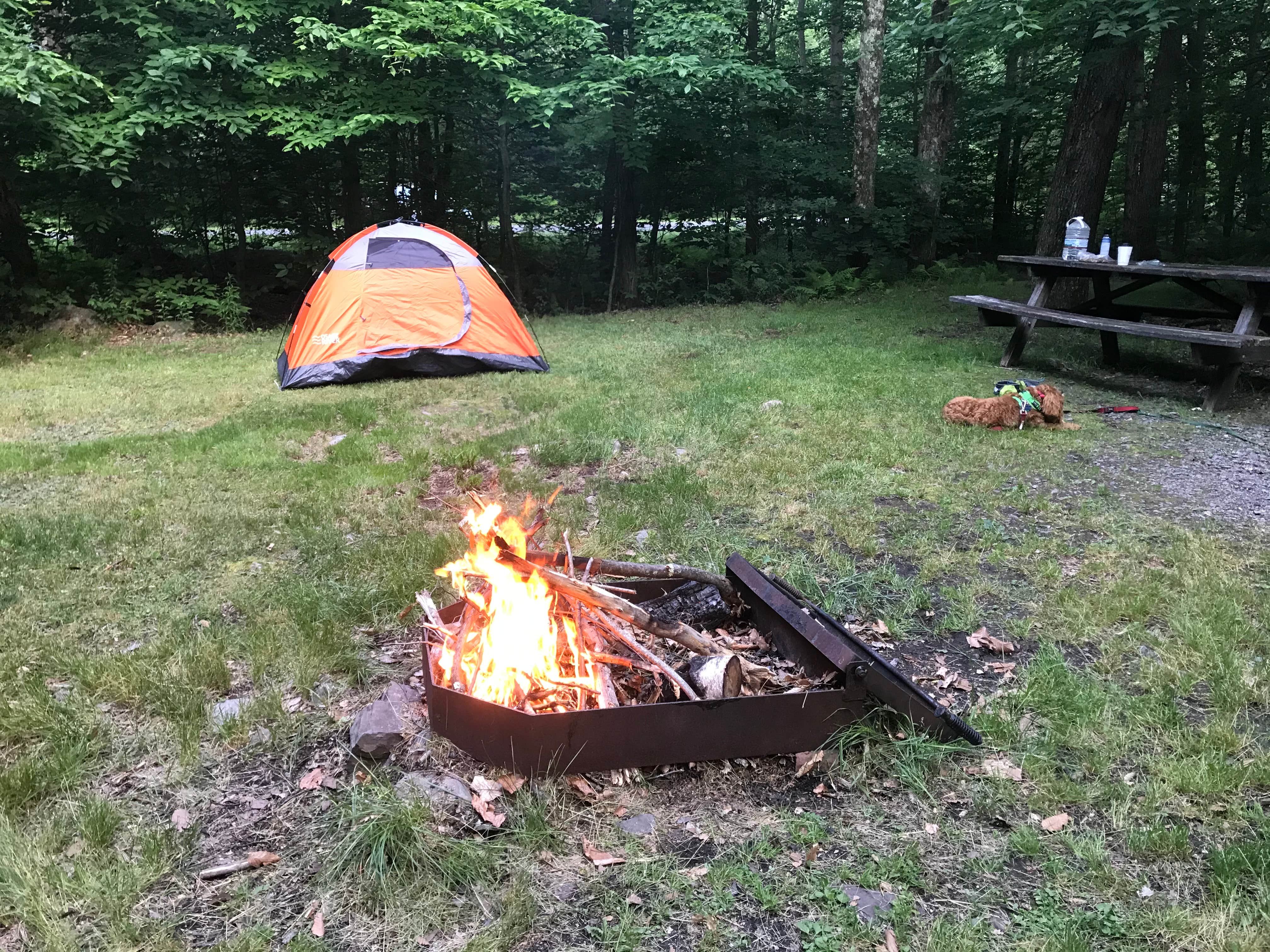 David  B.'s photo at Tobyhanna State Park Campground near Long Pond, PA