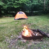 Review photo of Tobyhanna State Park Campground by David  B., July 5, 2020