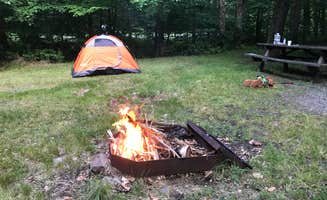 David B.'s photo at Tobyhanna State Park Campground near Blakeslee, PA