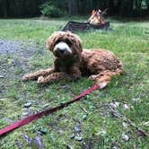 Review photo of Tobyhanna State Park Campground by David  B., July 5, 2020