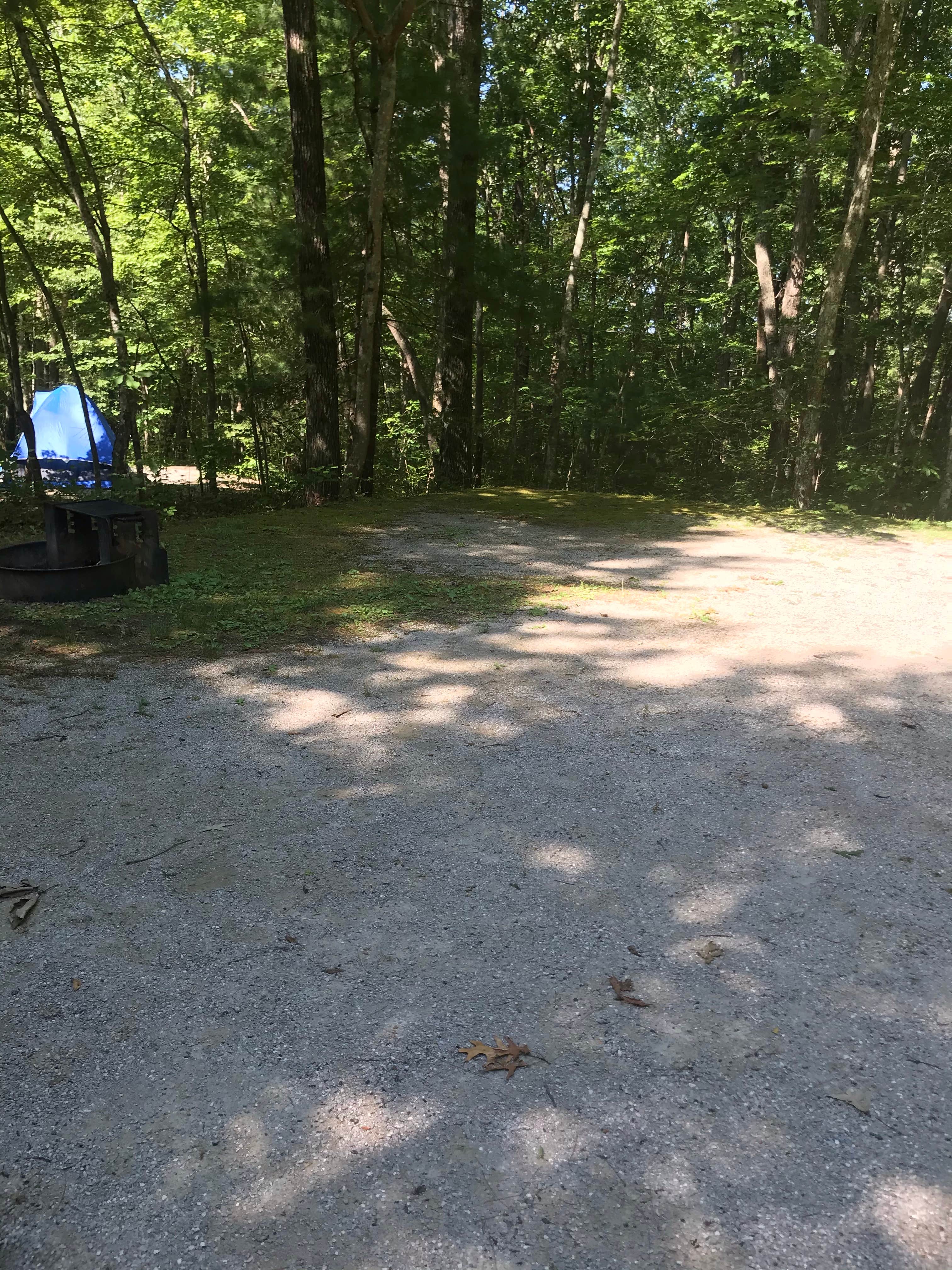MaryKate K.'s photo at Bandy Creek Campground — Big South Fork National River and Recreation Area near Rugby, TN