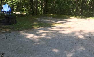 MaryKate K.'s photo at Bandy Creek Campground — Big South Fork National River and Recreation Area near Robbins, TN