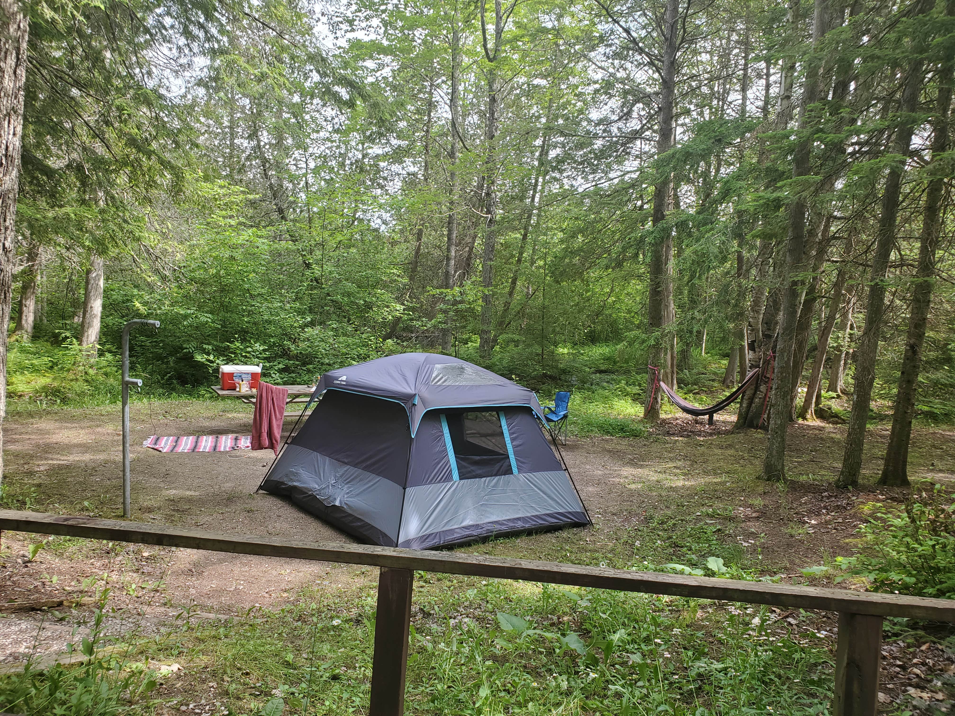 Camper submitted image from Brevoort Lake Campground - 5