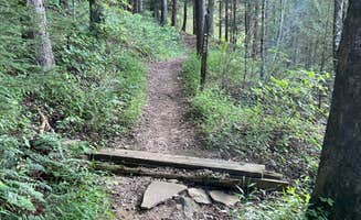 Tiffany T.'s photo of camping with pets at Holly Bay near Laurel River Lake