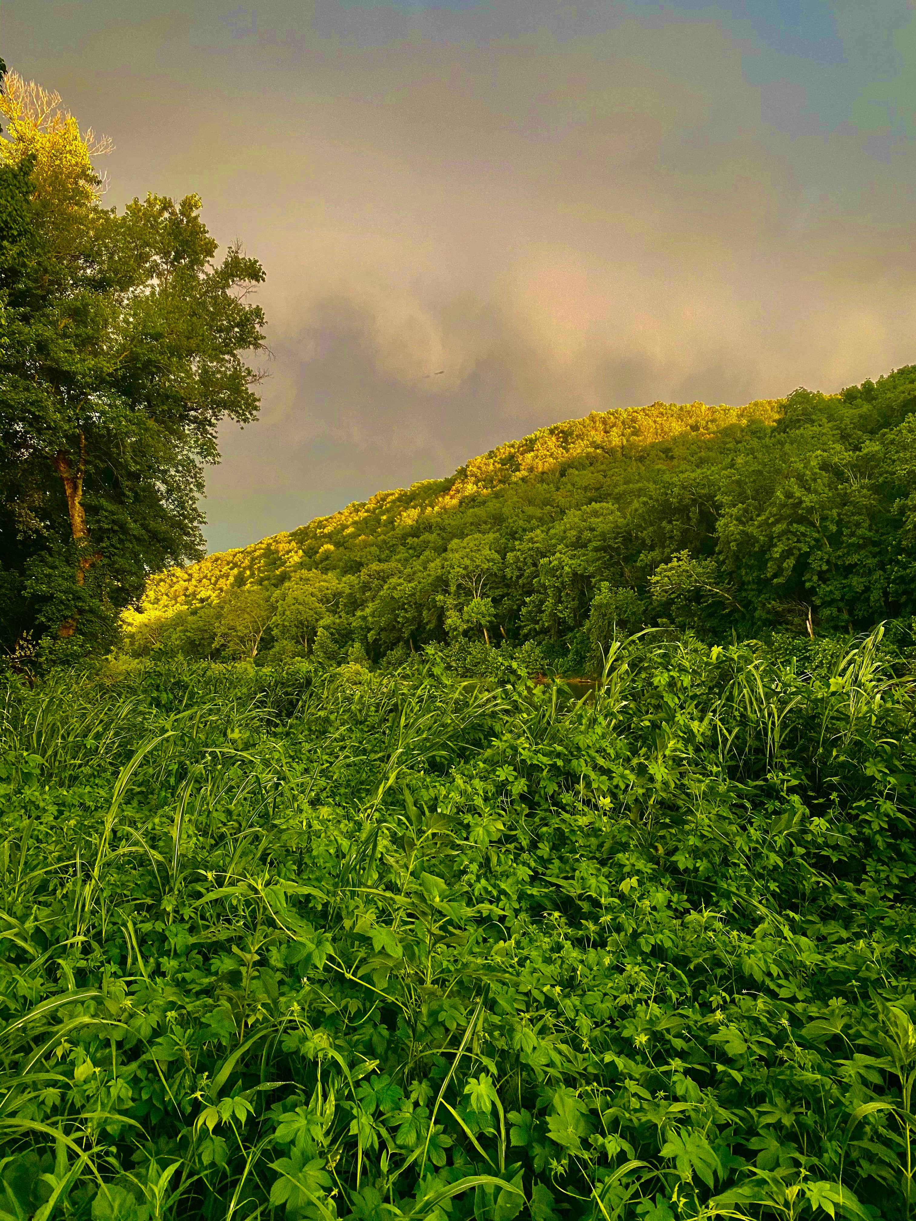 Camper-submitted photo at Camp Tomahawk tube float LLC near Aurora, MO