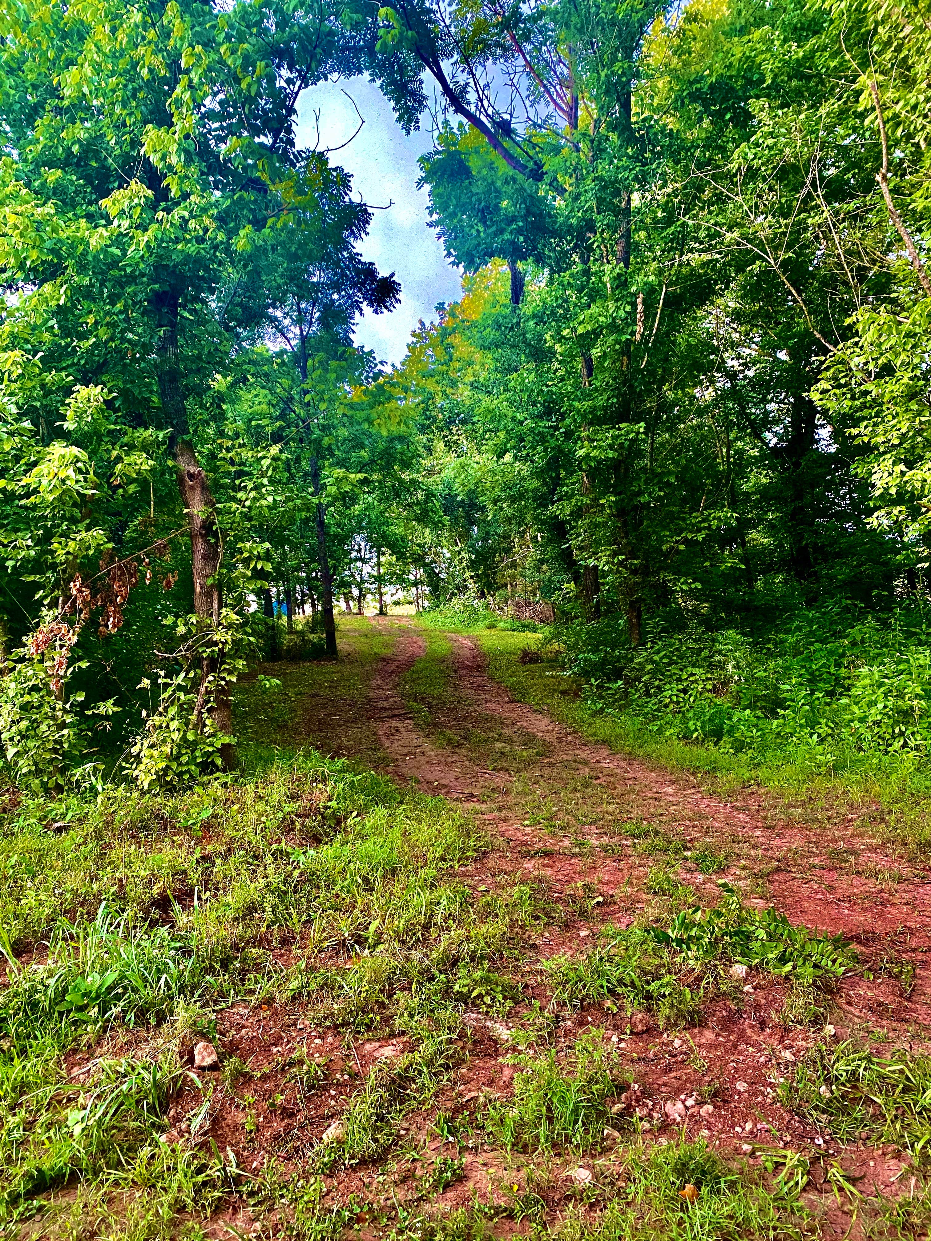 Camper-submitted photo at Camp Tomahawk tube float LLC near Aurora, MO