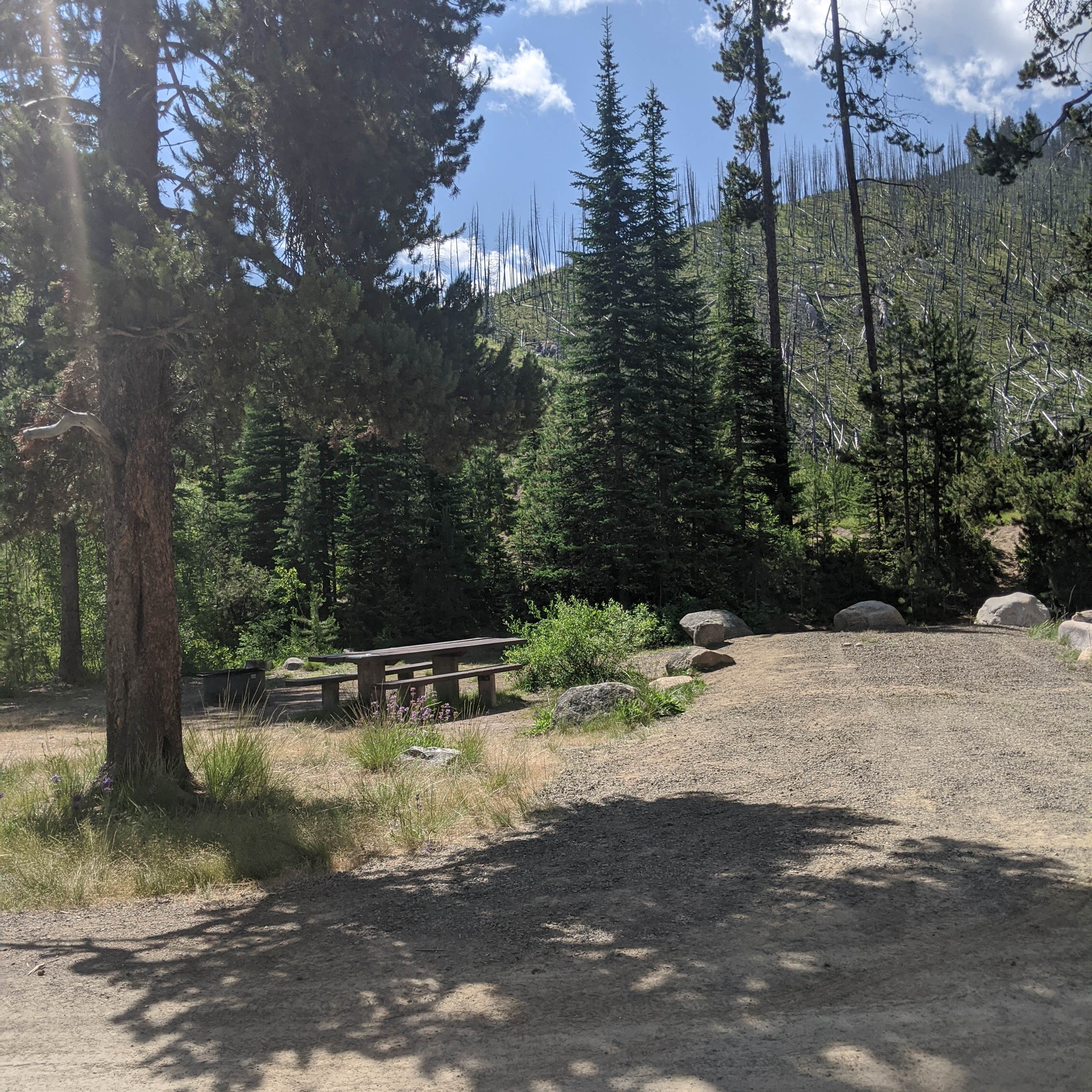 Escape to Idaho's Wild Heart: South Fork Salmon River Campground