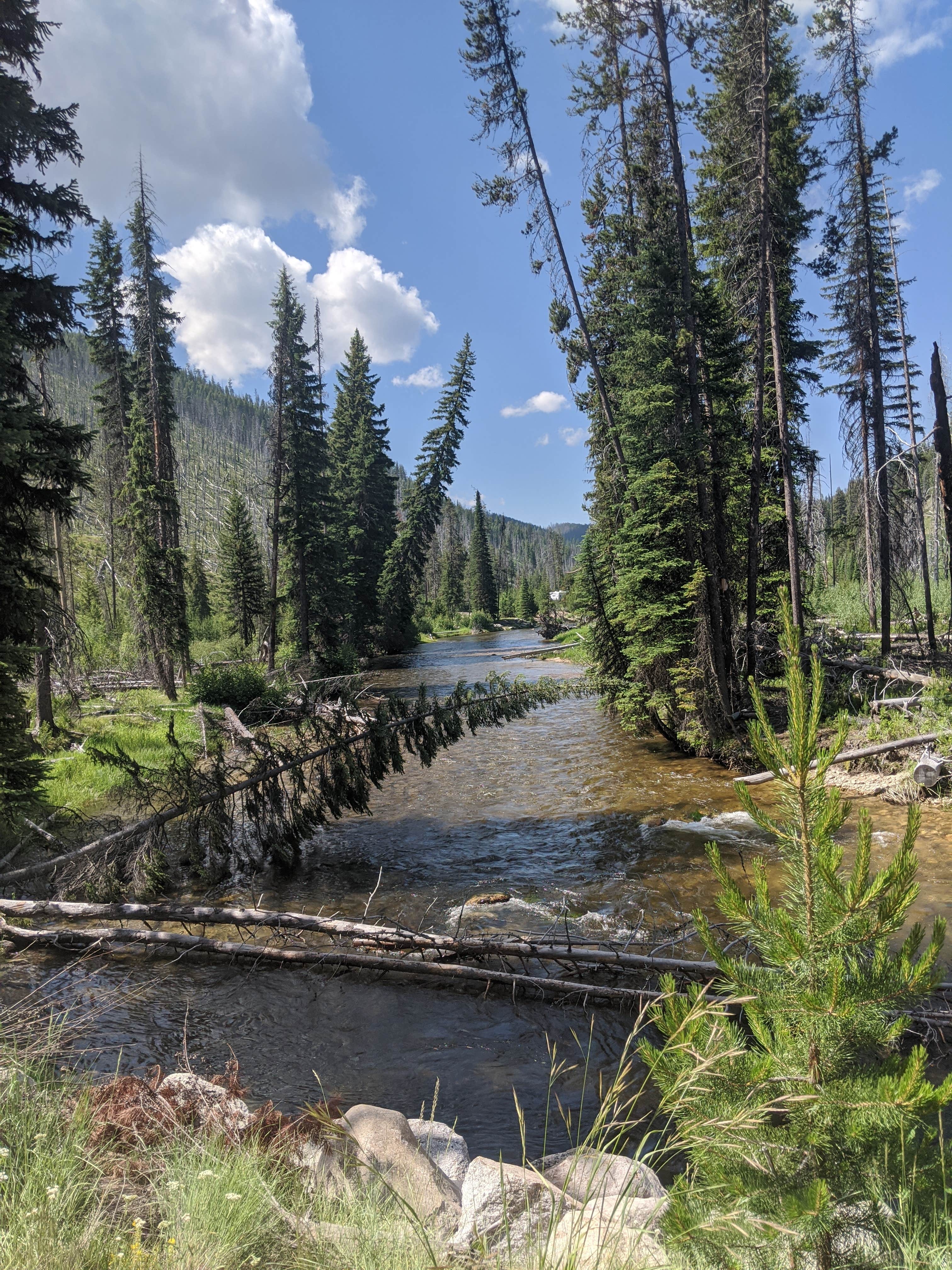 Escape To Idaho’s Wild Heart: South Fork Salmon River Campground