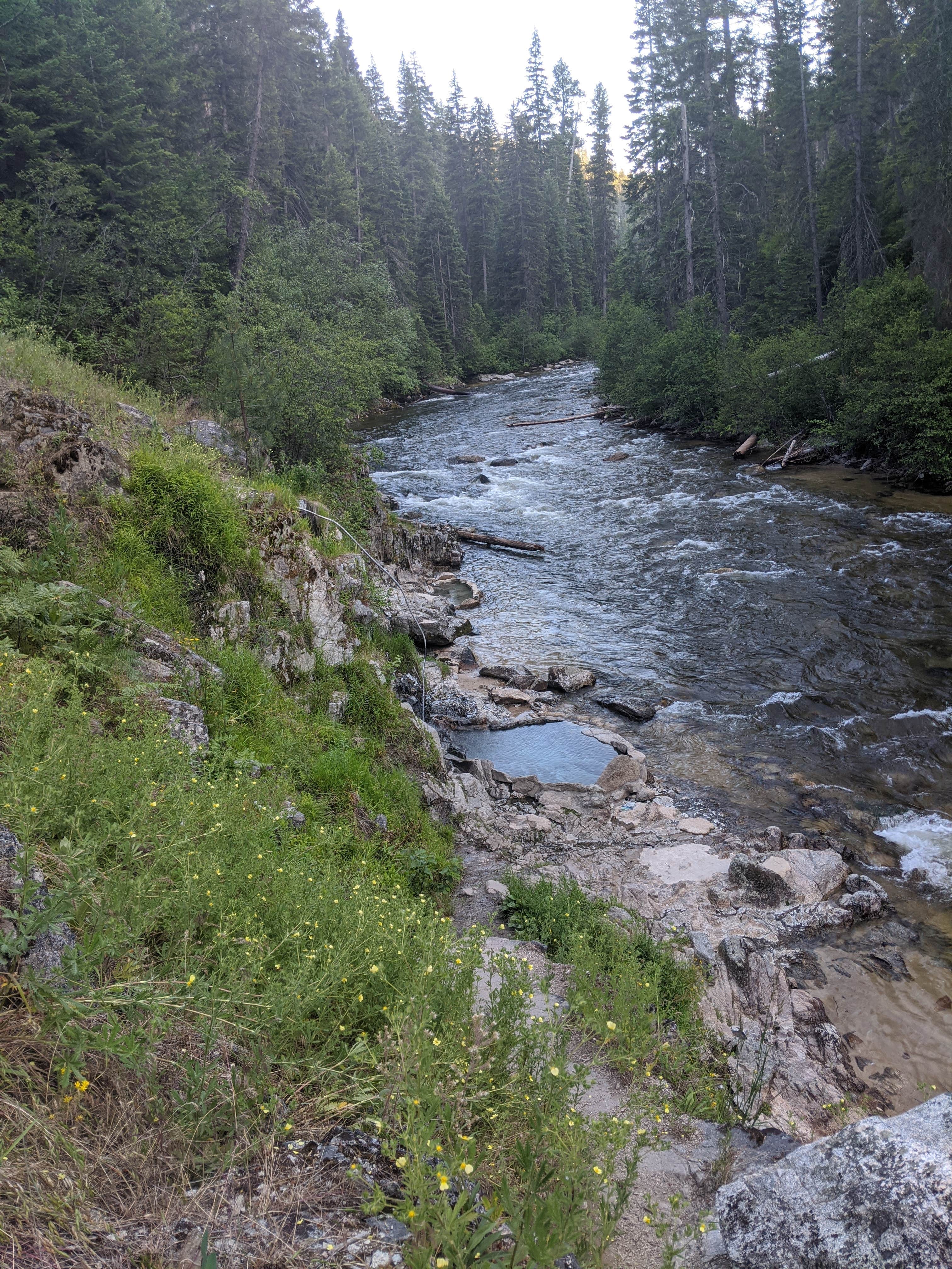 Camper submitted image from Payette National Forest Four Mile Campground - 5