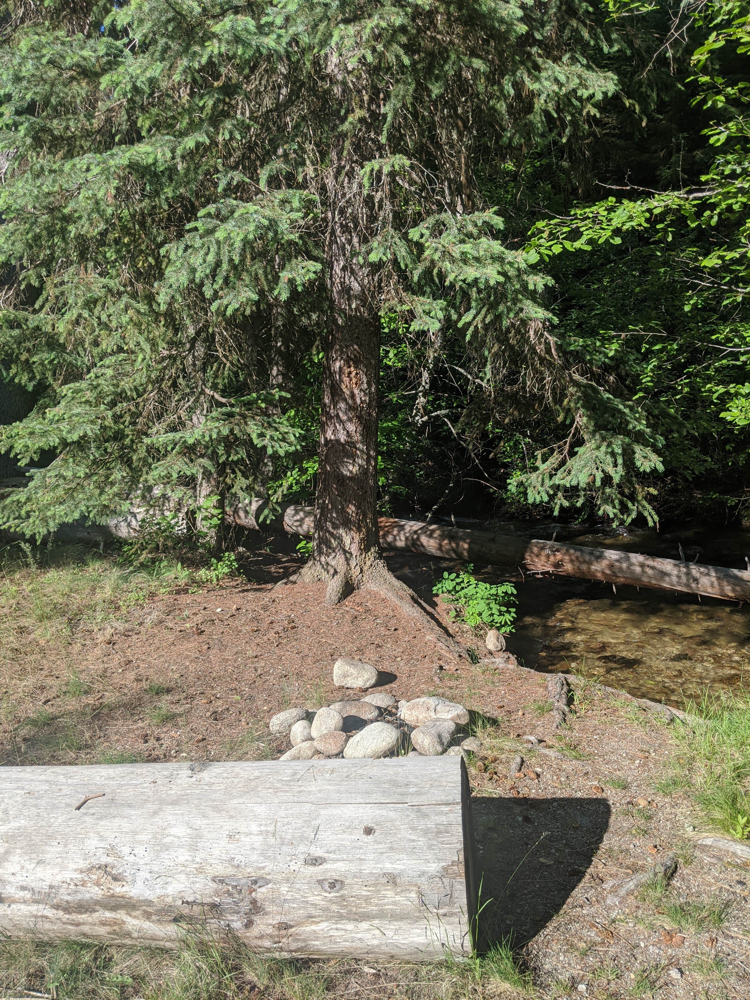 Camping near Deadman Campground: Payette National Forest Four Mile Campground, Yellow Pine, Idaho
