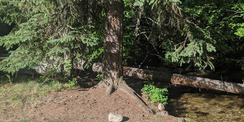 Camper submitted image from Payette National Forest Four Mile Campground