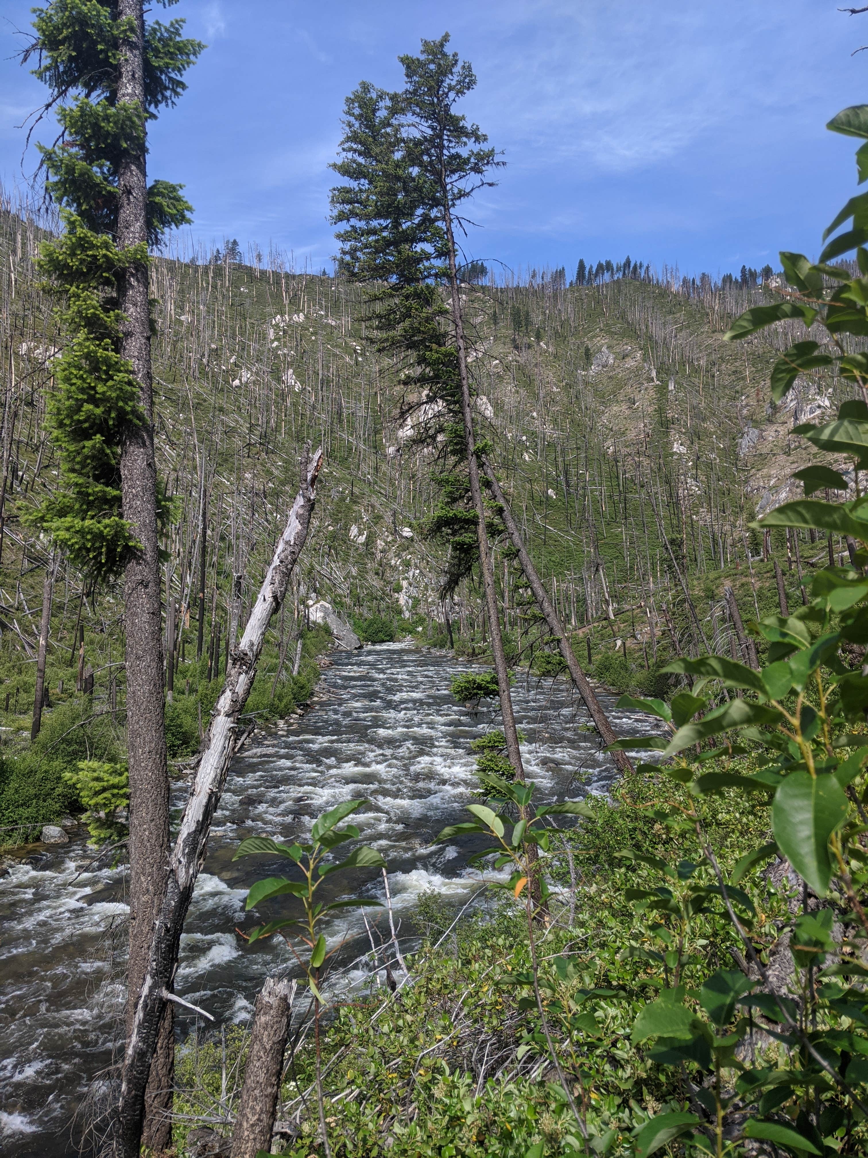 Camper submitted image from Ponderosa Campground - 2