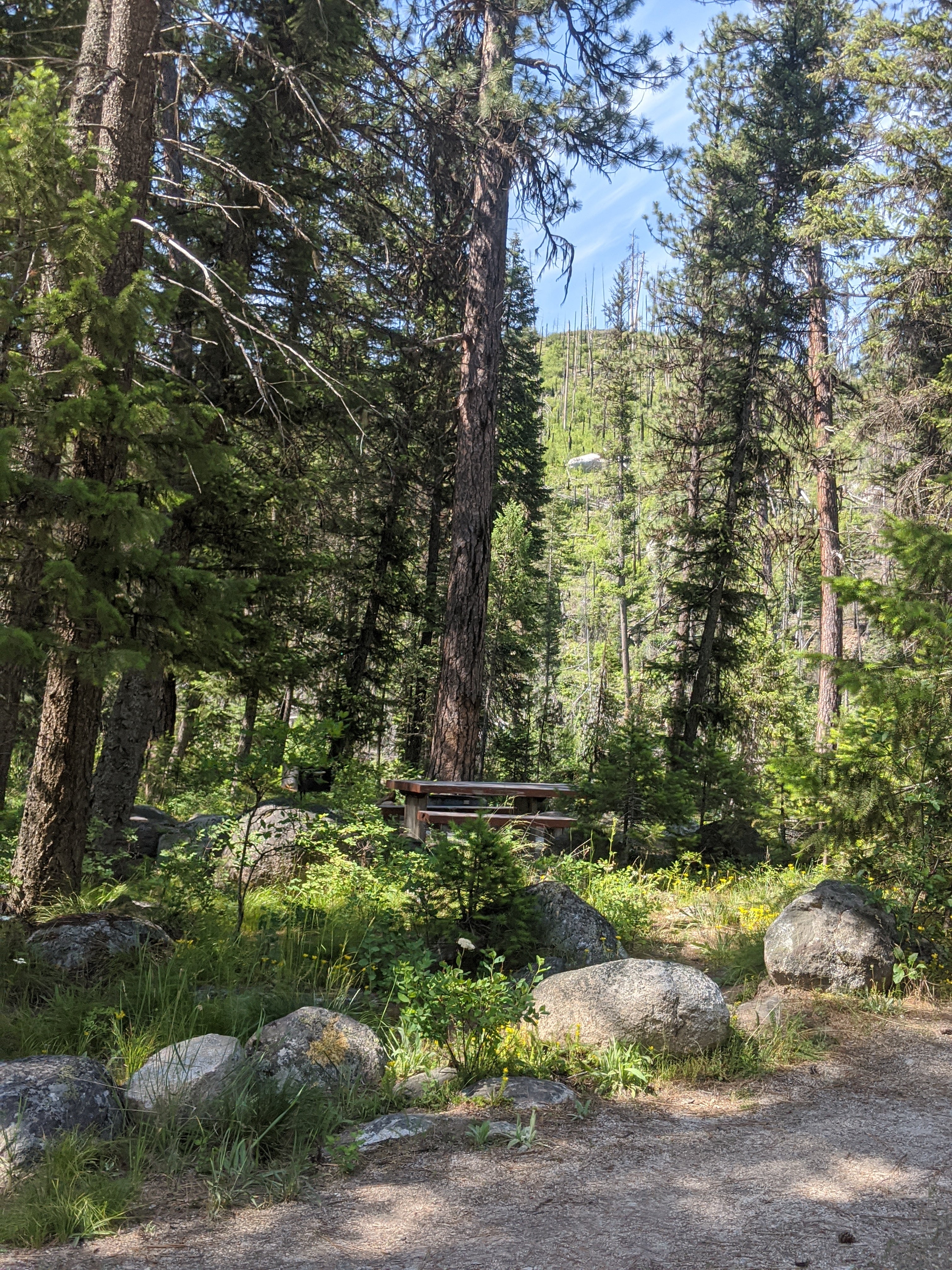 Camper submitted image from Ponderosa Campground - 3