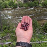 Review photo of Ponderosa Campground by Hannah W., July 5, 2020