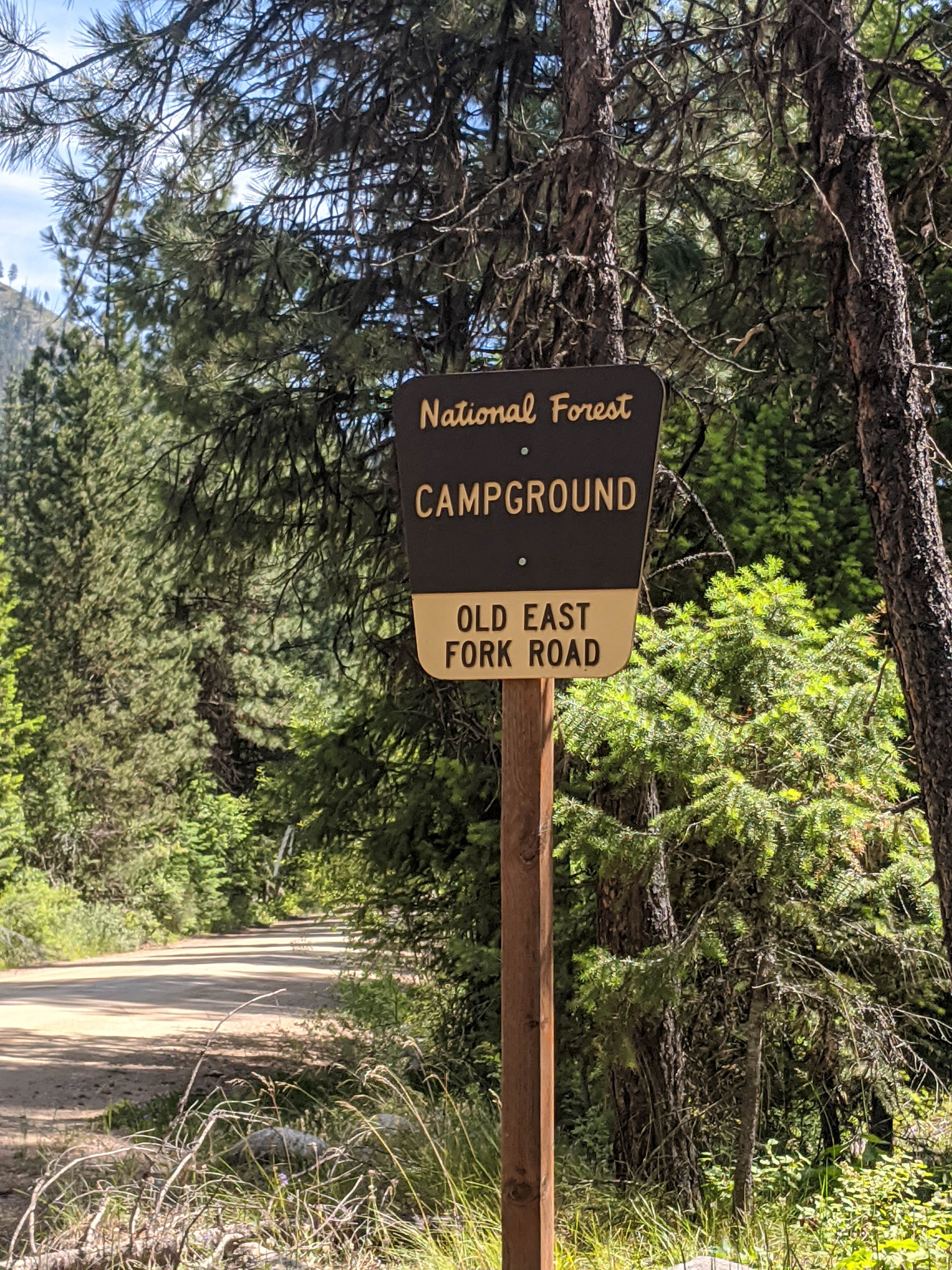 Camper submitted image from East Fork Cxts-Dispersed Site Camping Area - 1