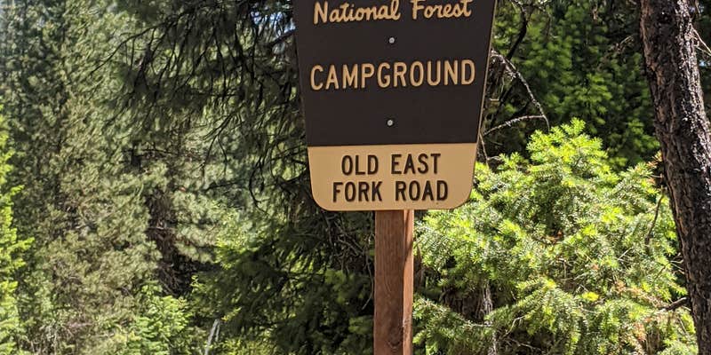 Camper submitted image from East Fork Cxts-Dispersed Site Camping Area