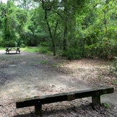Review photo of Withlacoochee SF/Croom Tract - Crooked River - Silver Lake Rec by Danae N., July 5, 2020
