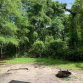 Review photo of Withlacoochee SF/Croom Tract - Crooked River - Silver Lake Rec by Danae N., July 5, 2020