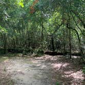 Review photo of Withlacoochee SF/Croom Tract - Crooked River - Silver Lake Rec by Danae N., July 5, 2020