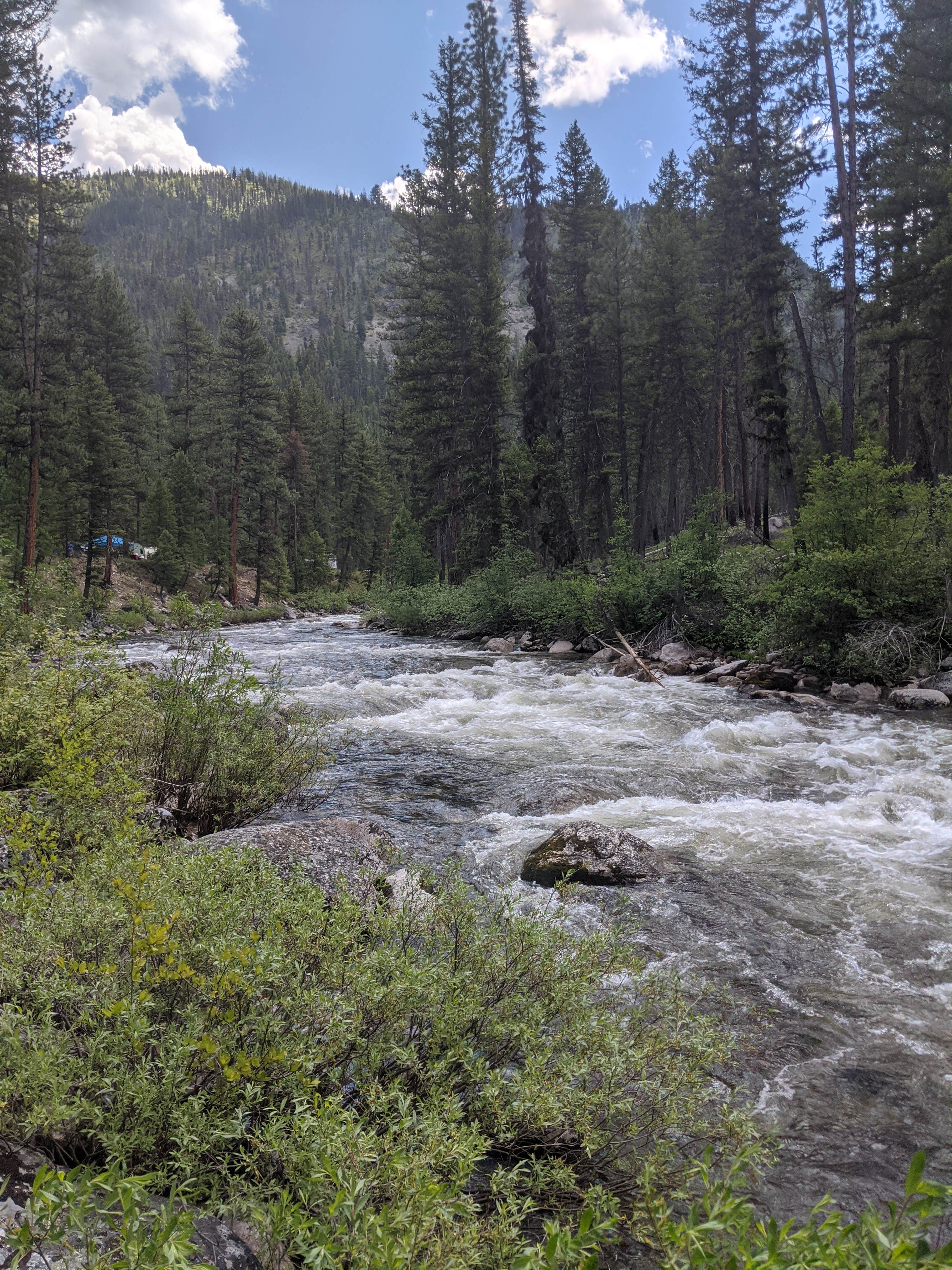 Camper-submitted photo at Yellow Pine Campground near Yellow Pine, ID