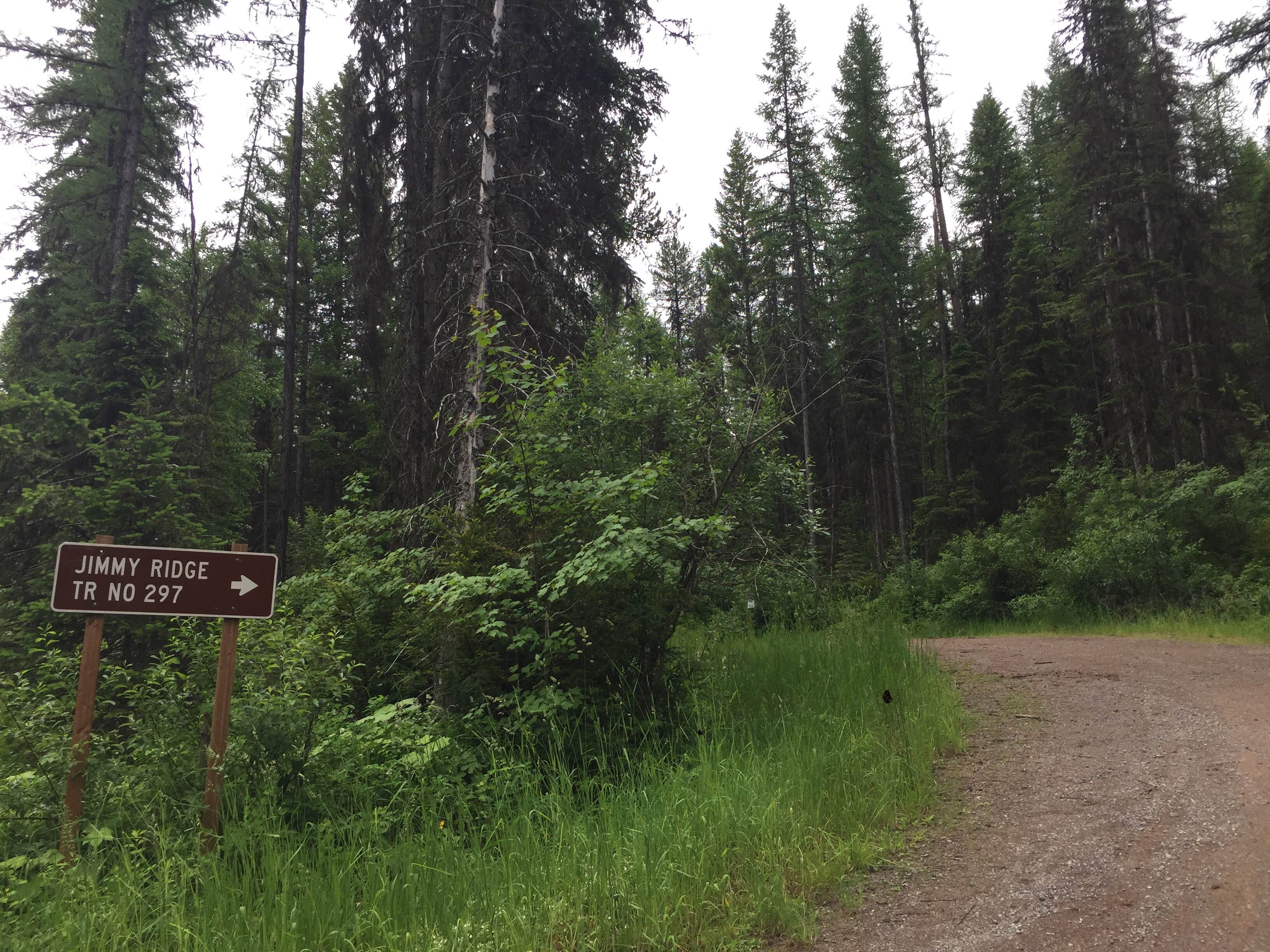 Camper submitted image from Lost Johnny Point Campground - 2