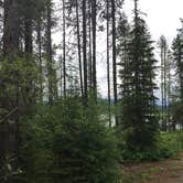 Review photo of Lost Johnny Point Campground by Bjorn S., July 5, 2020