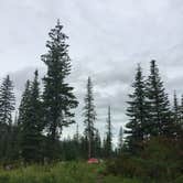 Review photo of Lost Johnny Point Campground by Bjorn S., July 5, 2020