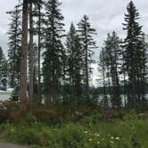 Review photo of Lost Johnny Point Campground by Bjorn S., July 5, 2020