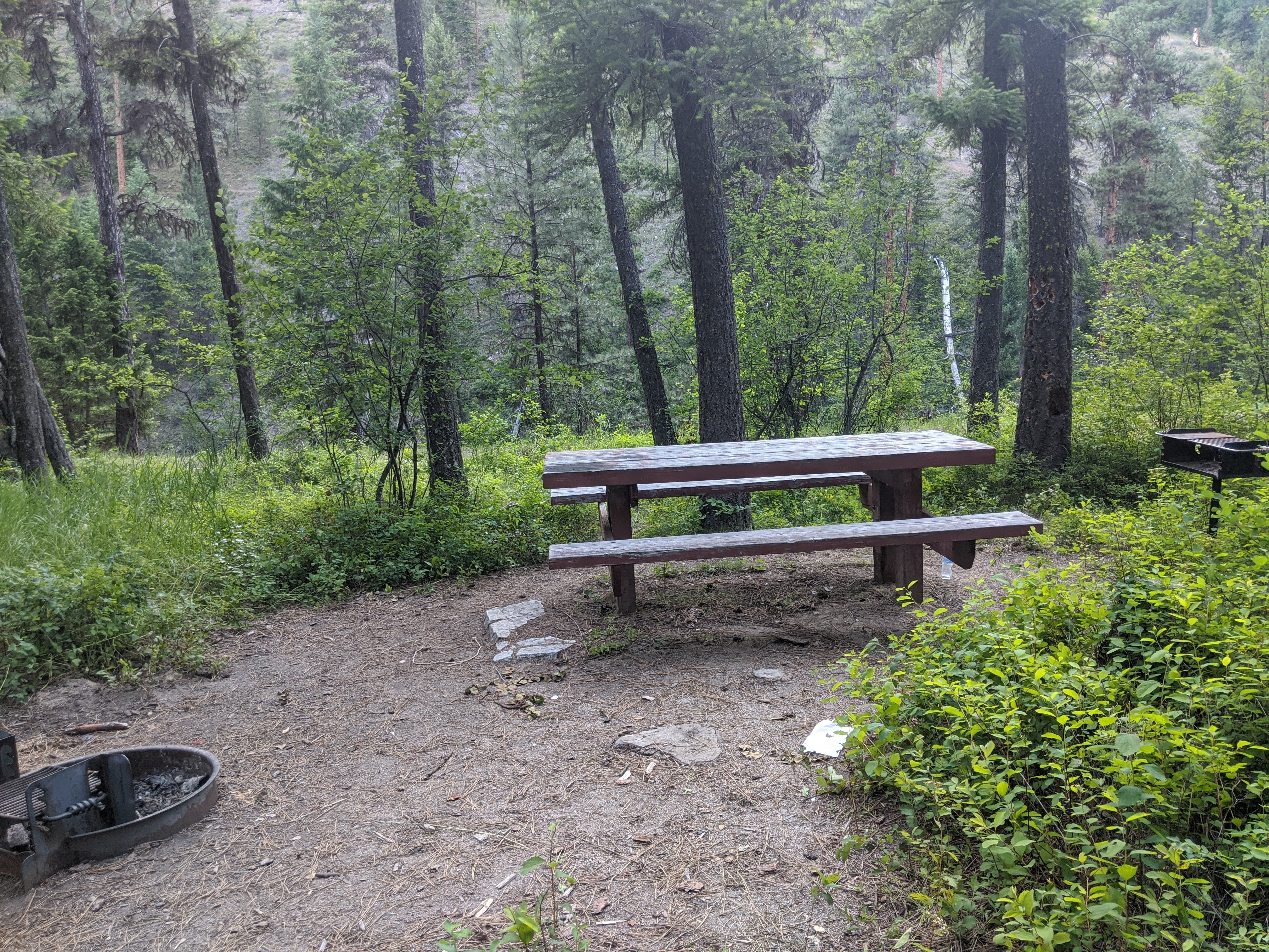 Camper submitted image from Buckhorn Bar Campground - 3