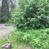 Review photo of Doris Creek Campground by Bjorn S., July 5, 2020
