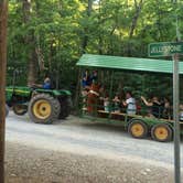 Review photo of Yogi Bear's Jellystone Park at Mammoth Cave by Shelly S., July 2, 2016